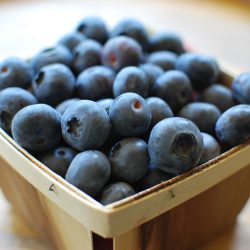 Blueberry Pint Blueberry Pint