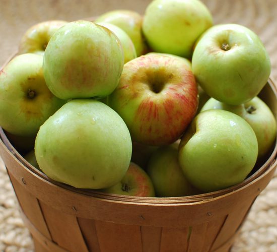 Gravenstein Basket