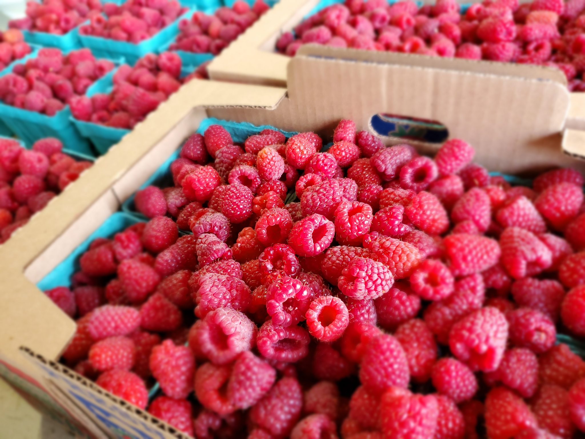 Fresh Raspberries (ReadyPicked) Smith Berry Barn