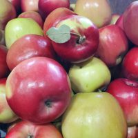 Farm Produce