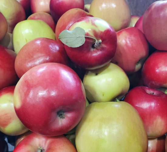 Jonathan Apples Bin