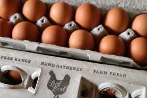 Eggs 20260106_144326_resized