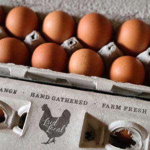 Eggs 20260106_144326_resized