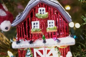 Barn orn 2024 Barn orn 2024