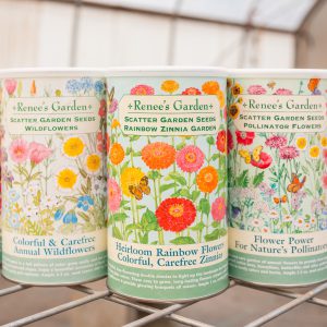 RG Scatter Web-14.jpg