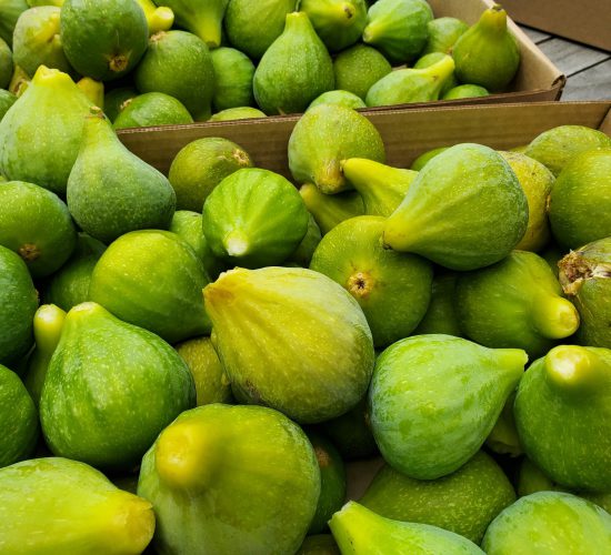 Figs 20250726_121027