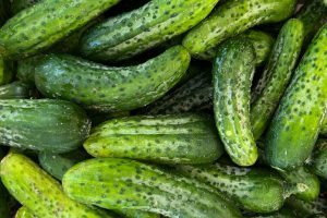 Gherkins IMG_1686 AG