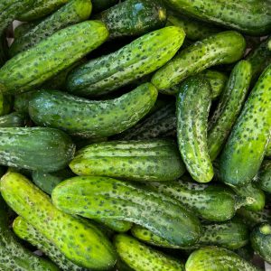 Gherkins IMG_1686 AG Gherkins IMG_1686 AG