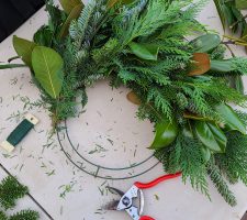 Foragers Prep 20251214_145416 Foragers Prep 20251214_145416